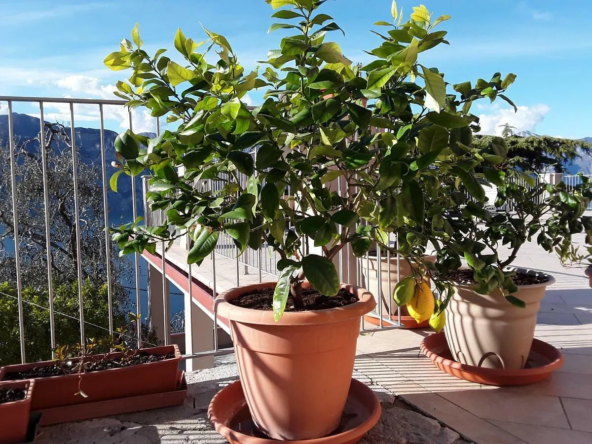 Casa Punta Veleno Apartment Brenzone sul Garda Italy